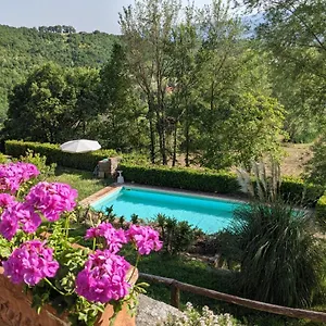 Casentino - Fattoria Ventrina Alloggio per agriturismo Martina